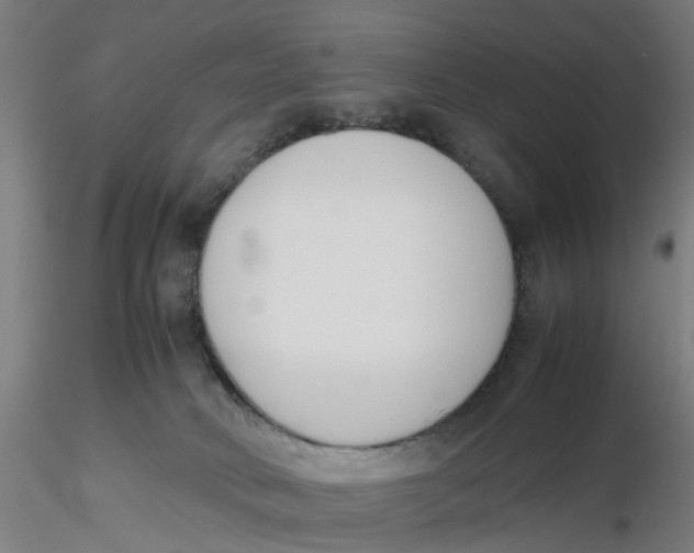 X0000116330034200912221429