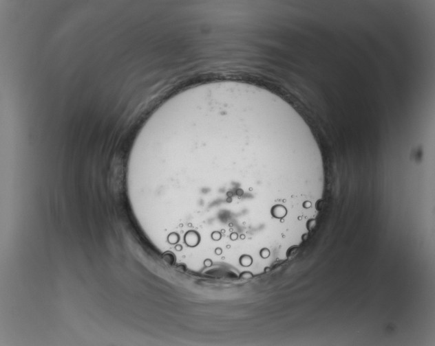 X0000116330036200912221429