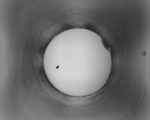 X0000116330037200912221429