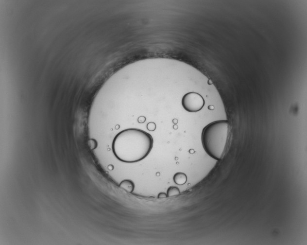 X0000116330038200912221429