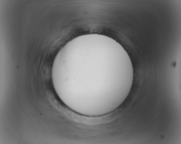 X0000116330039200912221429