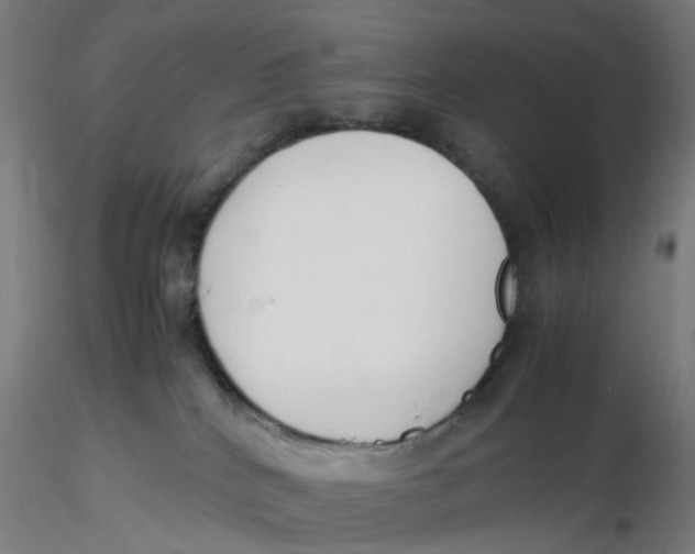 X0000116330040200912221429