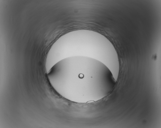 X0000116330041200912221429