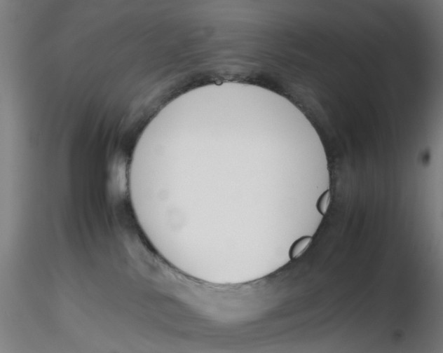 X0000116330042200912221429