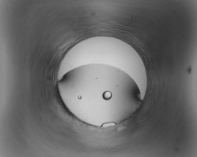 X0000116330043200912221429