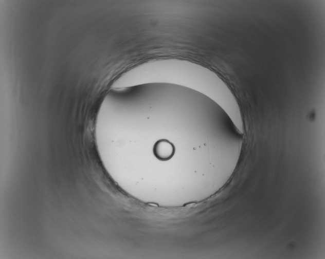 X0000116330045200912221429