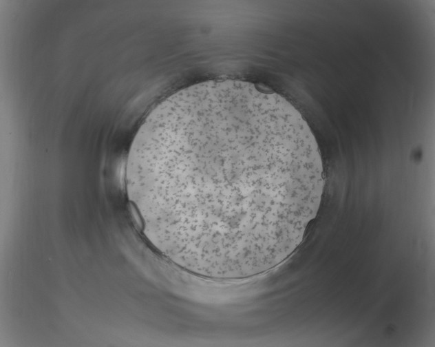 X0000116330047200912221429