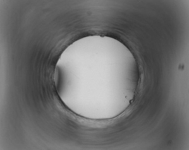 X0000116330048200912221429