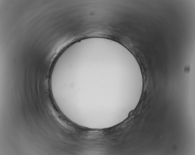 X0000116330050200912221428