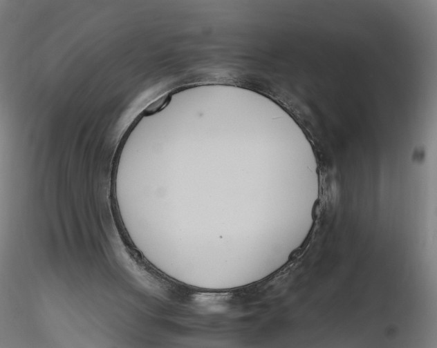 X0000116330051200912221428