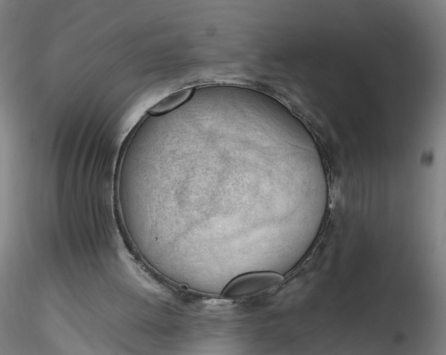 X0000116330052200912221428