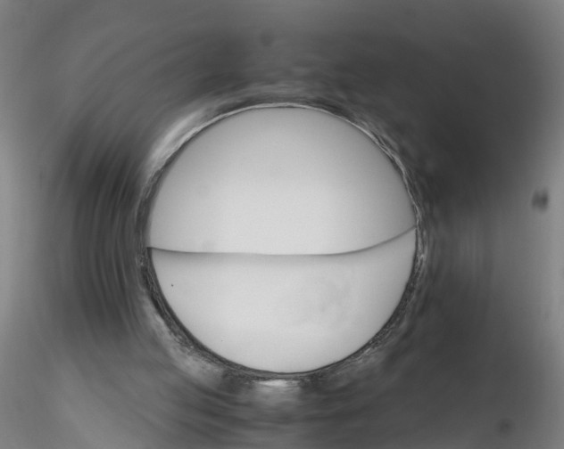 X0000116330053200912221428