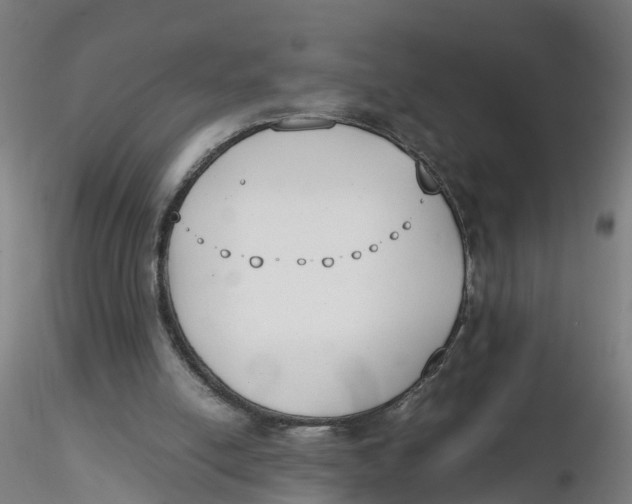 X0000116330054200912221428