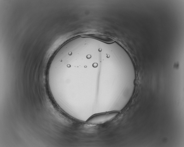 X0000116330055200912221428