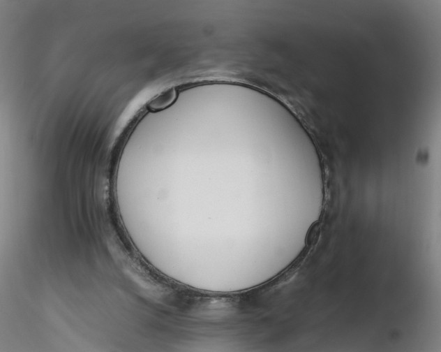 X0000116330056200912221428