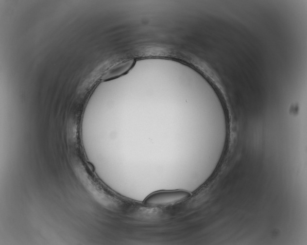 X0000116330057200912221428