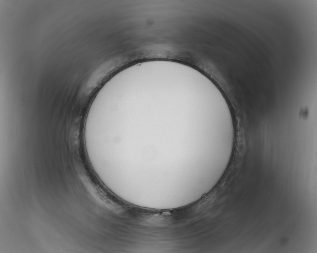 X0000116330058200912221428