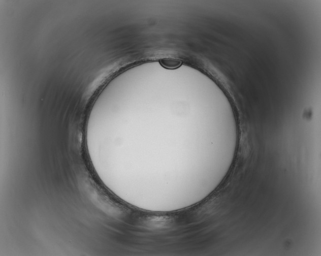 X0000116330059200912221428