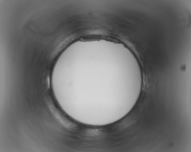 X0000116330061200912221428