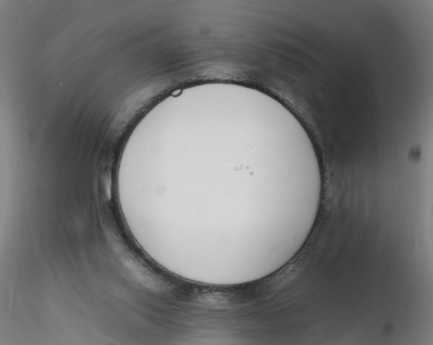 X0000116330062200912221428