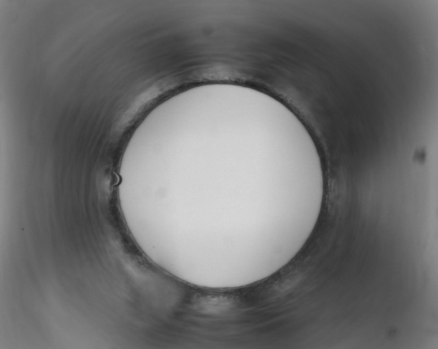 X0000116330063200912221428