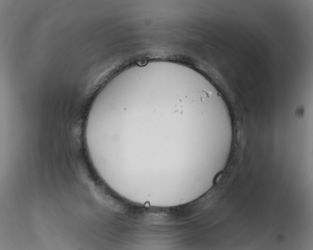 X0000116330066200912221428