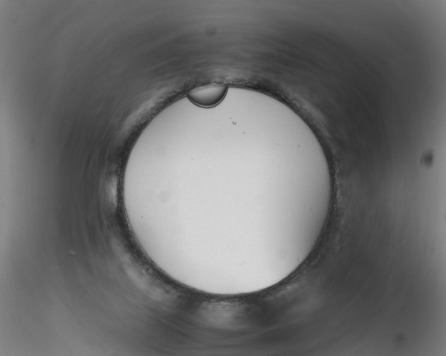 X0000116330067200912221428