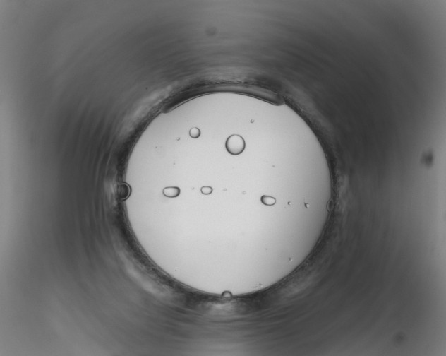 X0000116330068200912221428