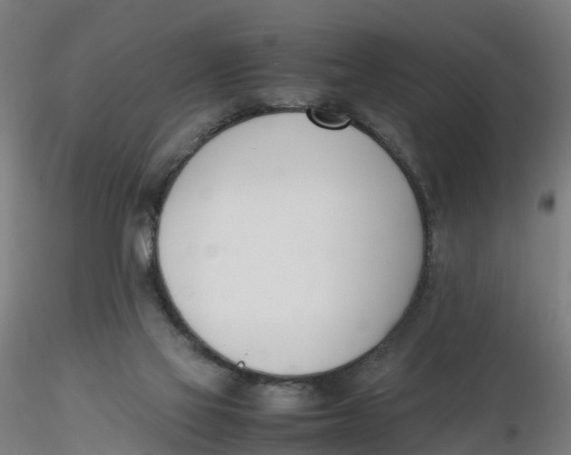 X0000116330069200912221428