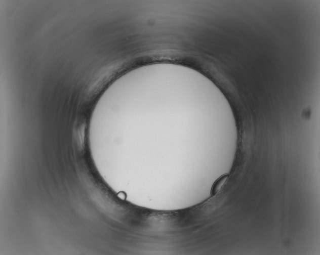 X0000116330070200912221429