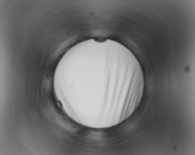 X0000116330071200912221429