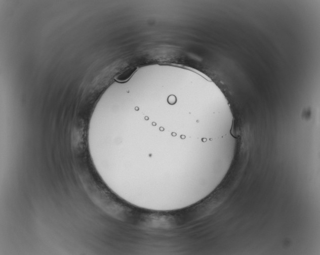 X0000116330073200912221429