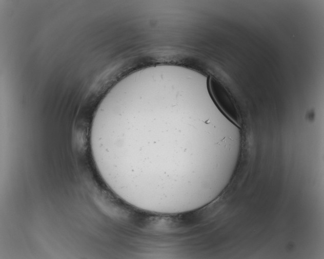 X0000116330074200912221429