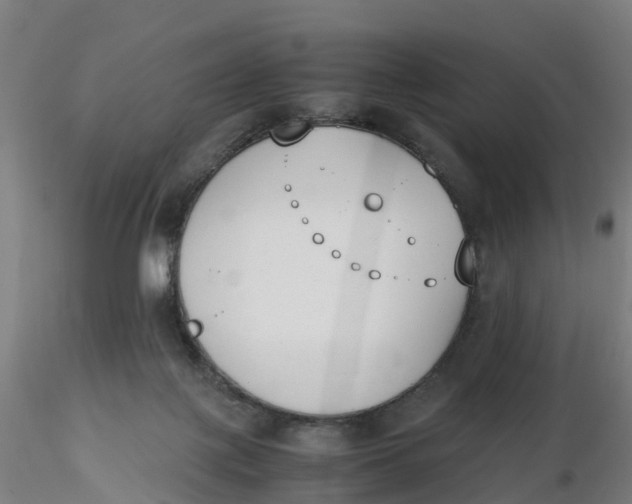 X0000116330075200912221429