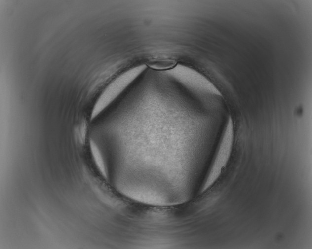 X0000116330076200912221429