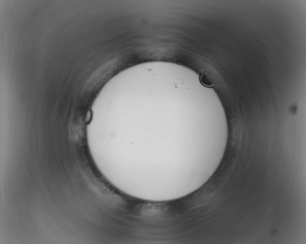 X0000116330077200912221429