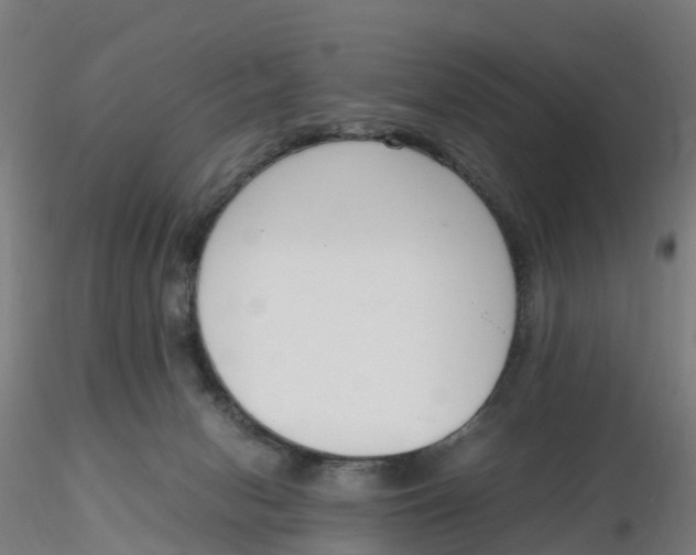 X0000116330078200912221429