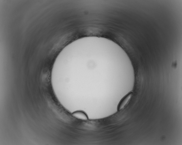 X0000116330079200912221429