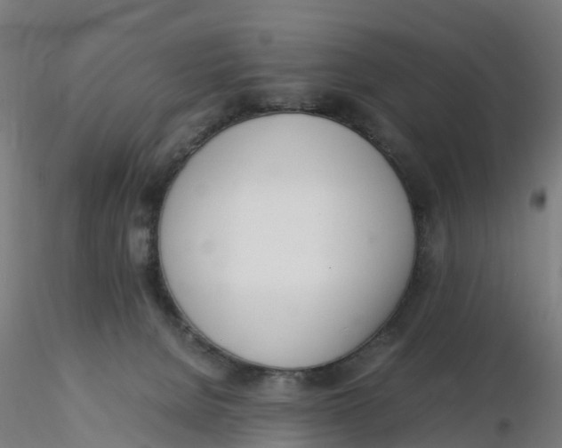 X0000116330080200912221429