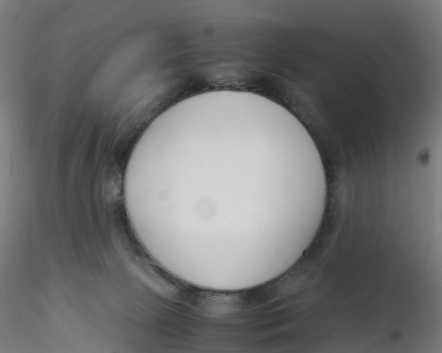 X0000116330081200912221429