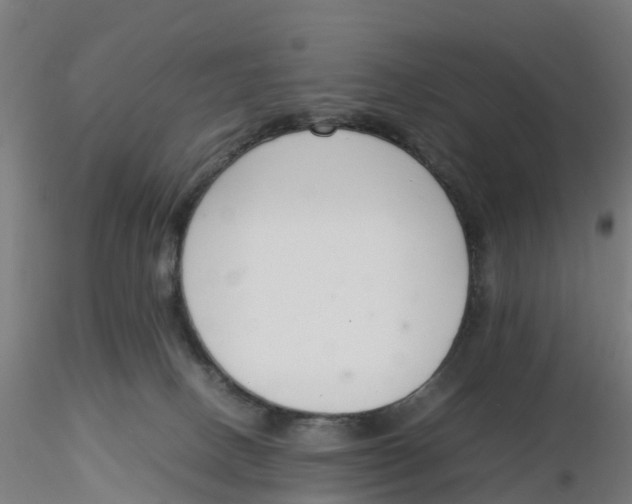 X0000116330082200912221429