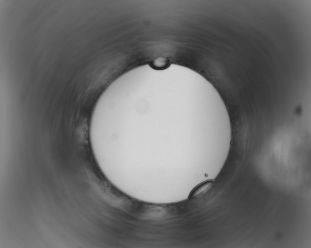 X0000116330083200912221429