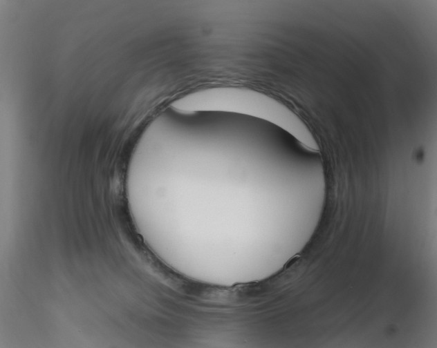 X0000116330084200912221429