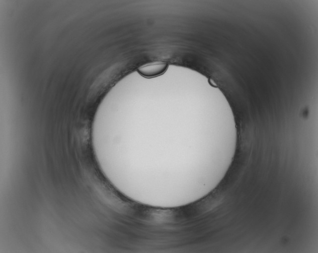 X0000116330085200912221429