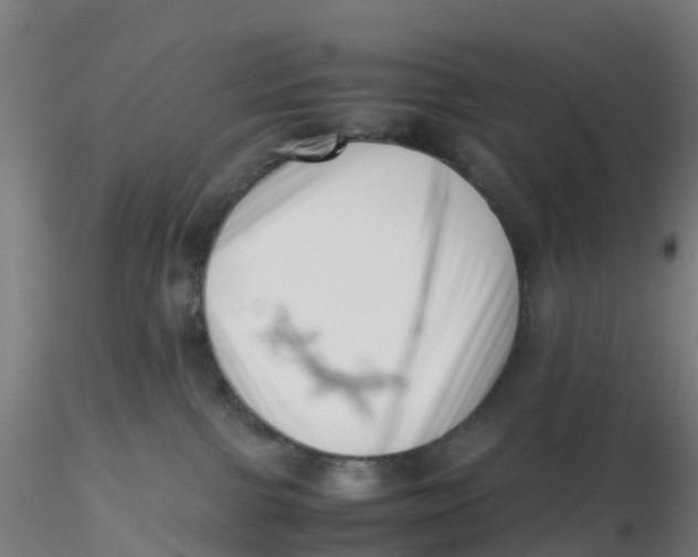 X0000116330091200912221429