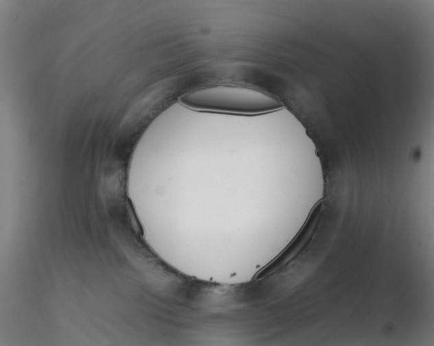 X0000116330092200912221429