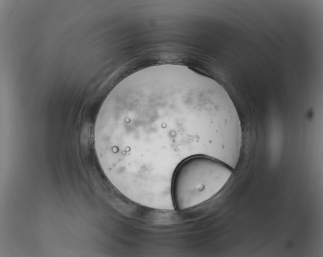 X0000116330093200912221429