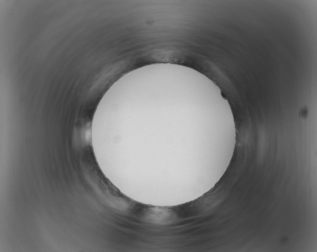 X0000116330095200912221429