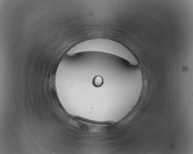 X0000116330096200912221429