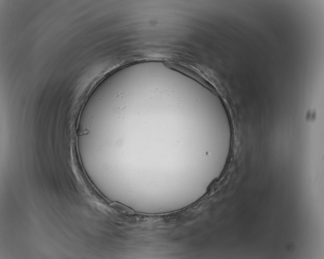 X0000116330097200912221428